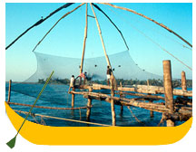 Kochi-Alleppey-Kumarakom 