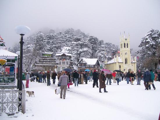 Complete tour Shimla Complete tour Shimla