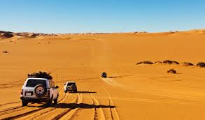 Desert Safari Desert Safari